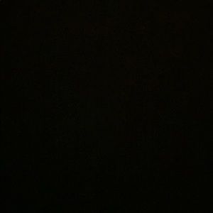 Meet your Posher, Max